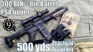 Psa 300Blk Upper 8In Barrel, The Dirt Squirrel To 500Yds Practical Accuracy