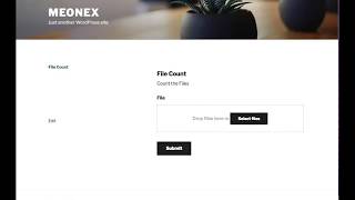 Gravity Forms File Upload Count Demo
