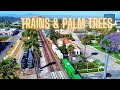 UP, BNSF &amp; METROLINK Trains in Riverside under the Palm Trees!