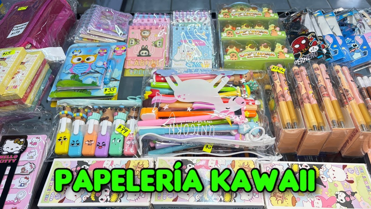 Última revisión de las compras de papelería en CDMX 😄.