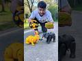 Ita Remote Control Elephant and Rc Khorgush unboxing
