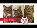 Collares para gato con listón |3 IDEAS FACILES|