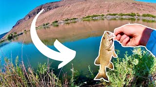 Catching AMAZING River Smallmouth Bass! by Corbin Outdoors 131 views 11 months ago 5 minutes, 52 seconds