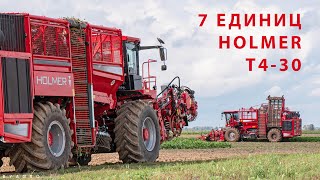 ЗАКОПКИ - Начало сезона уборки сахарной свеклы / 7X HOLMER T4-30