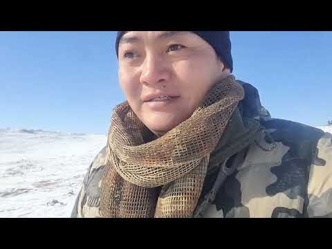 Gobi of Mongolia. Hulan's hunting.