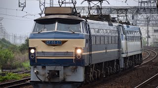 【ニーナ+鮫 重単】単570レ EF66 27+EF66 130 枇杷島 (2021.05.19)
