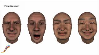 Facial Commonalities in different expressions cultures of