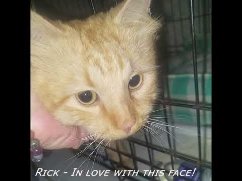Tuxie's Legacy - Rick Vet Update - 19.03.2025