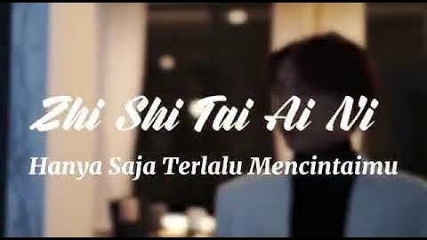 Zhi shi tai ai ni