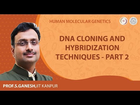 DNA Cloning and Hybridization Techniques - Part 2