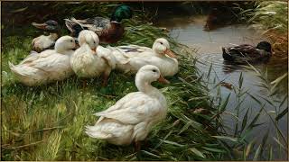 Duck by the Water 4K | Peaceful Nature Art Wallpaper screenshot 2