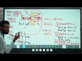 Sec 2 Chapter 2 Lesson 1 Chemistry تانية ثانوي كيميا اول درس تاني فصل 