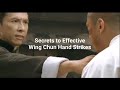 Wing chun biao zhi forms applying traditional hand techniques in modern combat