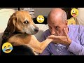 I dare you not to LAUGH at these FUNNY DOGS 😁🦮 - Best Funny Animals Videos 2026 #216