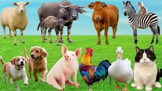 🎶Countryside Filled with "Cute Songs" – Dogs, Cats, Pigs & Cows Compose a Fun Melody | Animals🐶🐱🐷🐄 screenshot 1