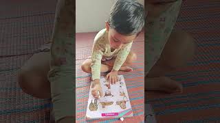 Find And Circle The Animals That Live In The Jungle Shorts Videos