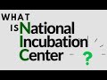 National incubation center nic islamabad and incubation benefits  startups  sabir baloch