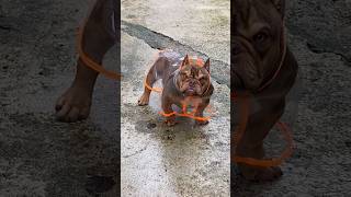 She’s looks so furious, but she also looks sooooo cute 😂😍