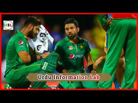 latest-funny-cricket-song-on-pakistani-cricket-team-special-for-pakistan-vs-india-cricket-matches!