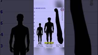 Is X-Ray actually safe?🧑‍⚕️💀 #xray #science #shorts #medical