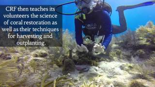 Diving Into Deeper Learning