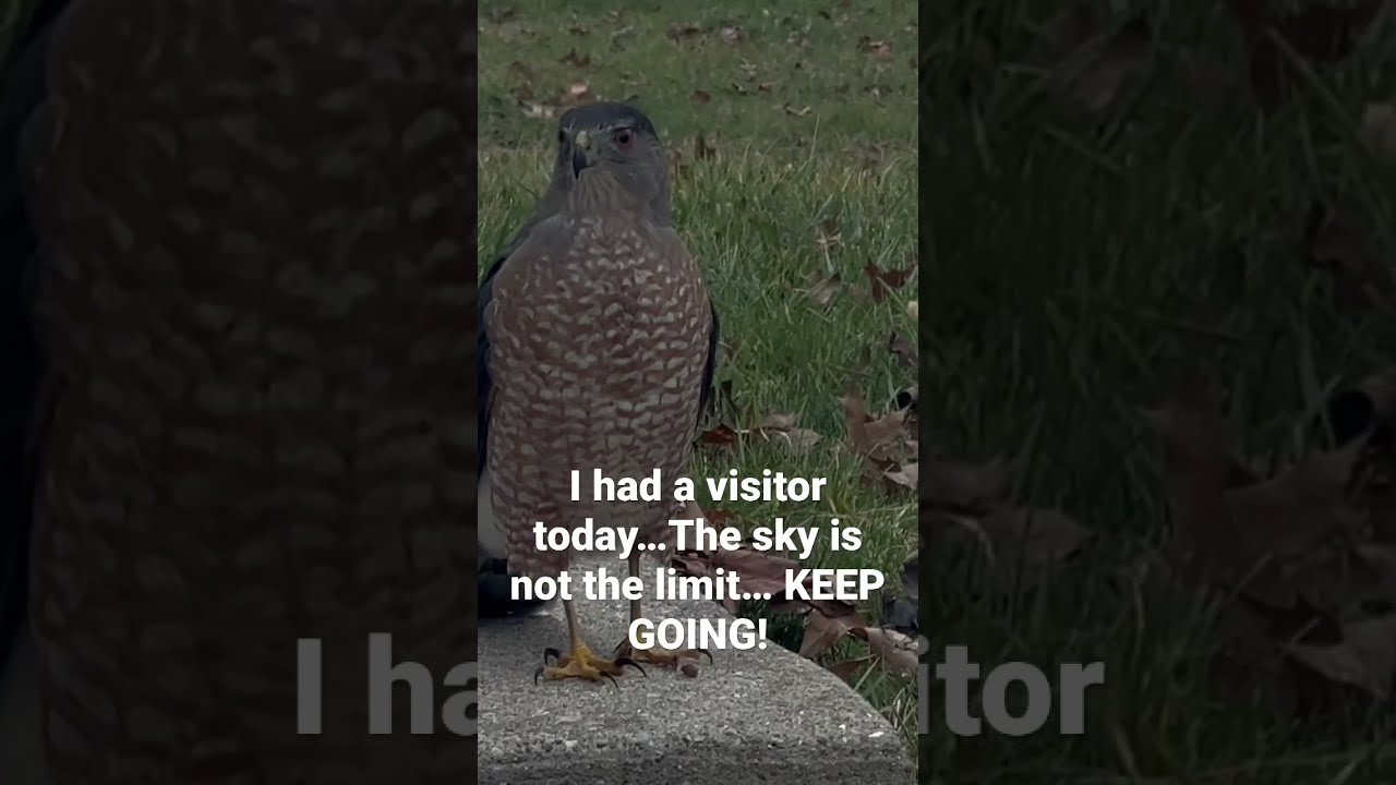 I Had A Visitor 