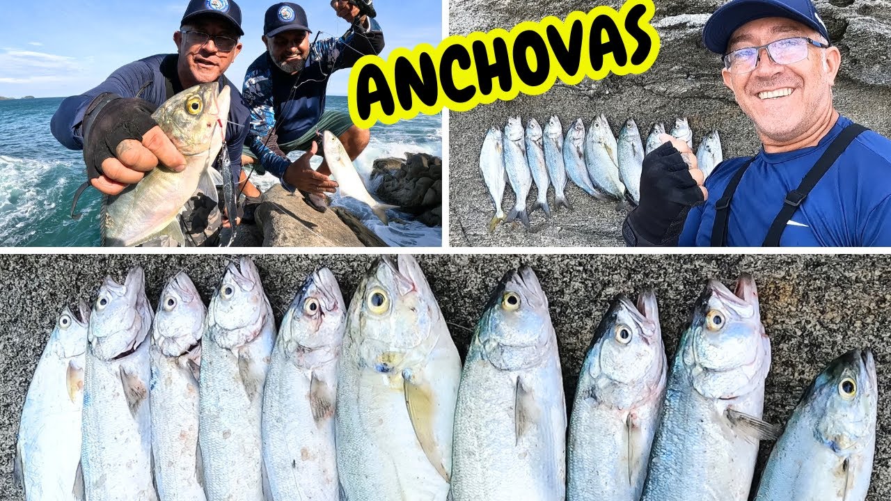 ANCHOVAS no JIG METAL PESCARIA na praia CARAVELAS em BÚZIOS! #jigs #buzios #caravelas #pesca #iscas