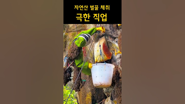 [극한 직업] 자연산 벌꿀 채취  #극한직업 #자연산벌꿀 #벌꿀