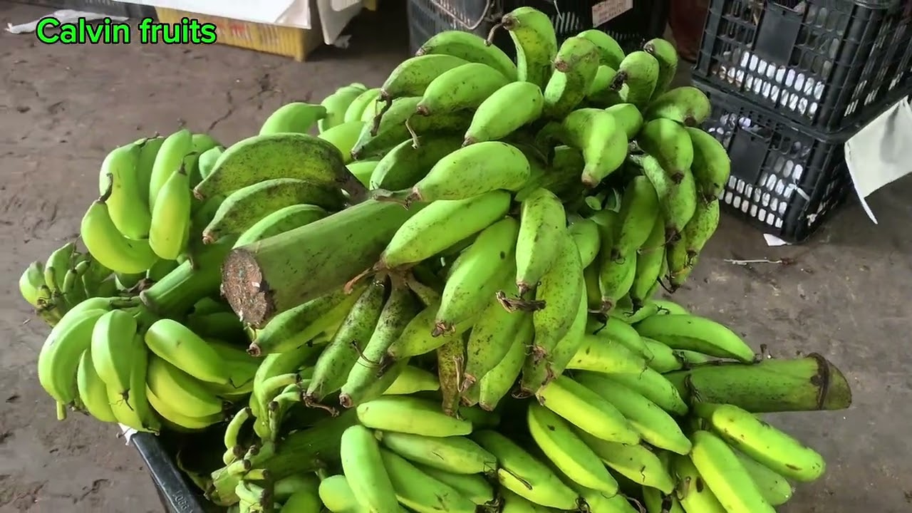 Musim buah semua jenis pisang ada di pasar ini #pisangberangan #pisangrestari #vlogbuahbuahan