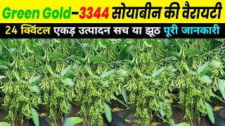 Green Gold 3344 Soyabean | Gold 3344 Soyabean Variety | Soyabean Variety Soyabean Ki Kheti