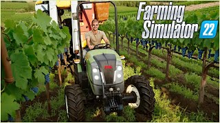 FARMING SIMULATOR 22 MINI BRUNN #20 - RACCOGLIAMO UVA CON VOLENTIERI PELLENC 8050 - GAMEPLAY ITA