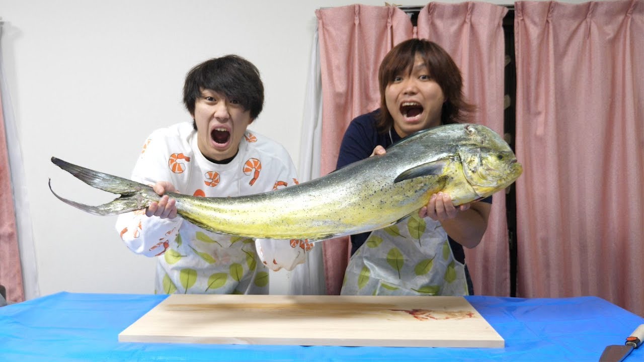 シイラ マヒマヒ スズキ目の魚 の調理方法 日本の科学と技術日本の科学と技術