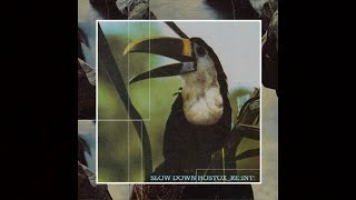 Slow Down (Hostox 4AM Reinterpretation)