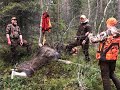 HIRVIJAHTI LOKAKUU 2020 / MOOSE HUNTING IN FINLAND