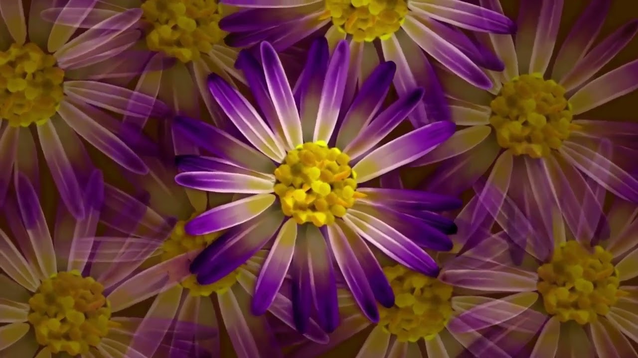 Healing Spiritual Meditation - Prayer -  for Strengthening Faith and Health