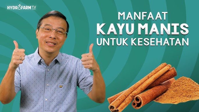 Mekanisme Kayu Manis Menurunkan Gula Darah Ilustrasi gula darah dan insulin, menunjukkan bagaimana kayu manis bekerja