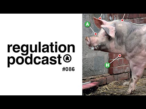 Bunce & Quince // Pig Parts Draft [86]