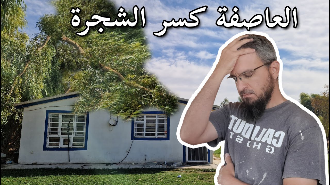 آثار الإعصار و بعض الاضرار على المزرعة ، سقوط الشجرة التي فوق البيت .زراعة أشجار للضل (214)