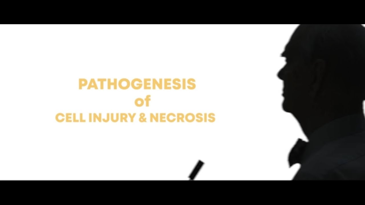 Dr. Hardwick: Pathogenesis of Cell Injury & Necrosis #pathology #ubcmedicine