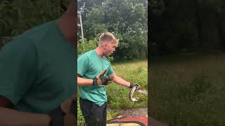 Snake Scavenger Hunt! #Shorts