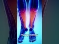 Help Treat Achilles Tendinopathy With Deep Transverse Friction