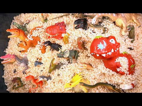 Dinosaur toy <strong>discovery</strong> Episodesㅣ공룡 찾기 놀이ㅣDinosaurs For Children - LEOPANG