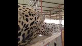 Best Of Vines Popular Today 19 - 05 - 14