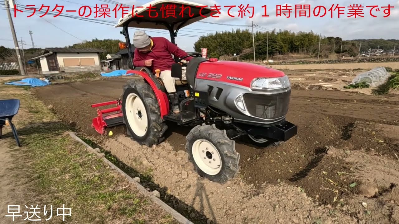 畑への米ぬか撒きとトラクターの耕運_2026年1月28日