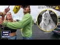 Woman Beats Friend, Beats Cop, then Throws the Most Insane Tantrum Ever