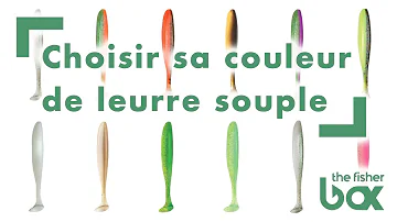 Quel couleur de leurre pour la mer ?