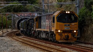 Wellington to Lower Hutt Railway - 150th Celebration (4K)