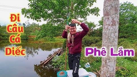 Câu cá giải trí: Đi câu cá Diếc và pha vợt cá có một không hai - Ngọc Biển Fishing