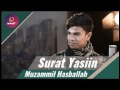 Bacaan surat yasin yang sangat merdu