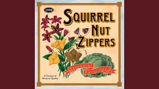 Video thumbnail of "Squirrel Nut Zippers - My Drag"